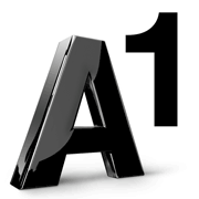 A1